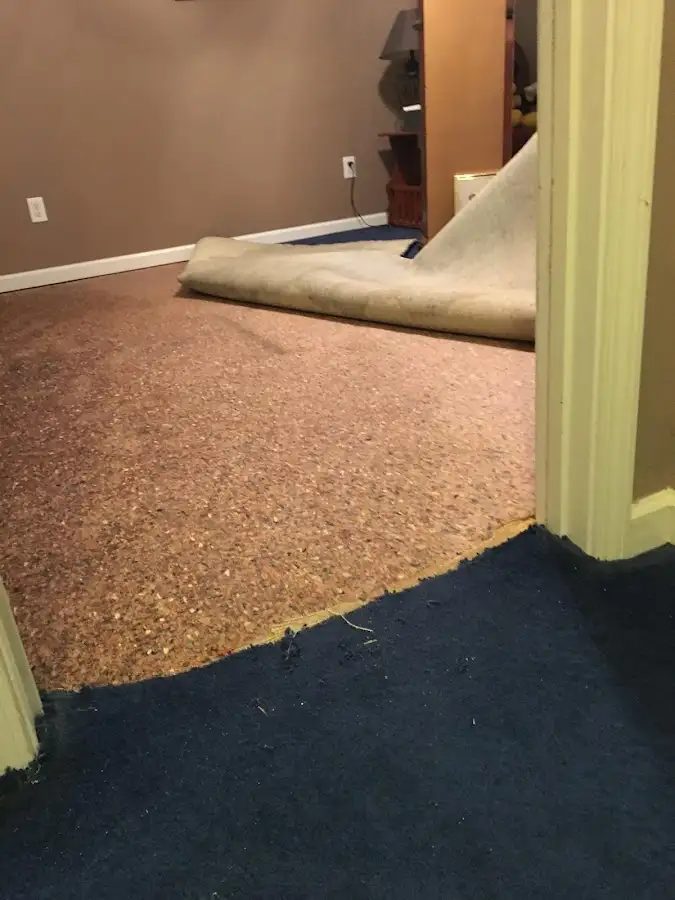 Carpet pad removal revealing water damage during Water Mitigation Services in Edgerton